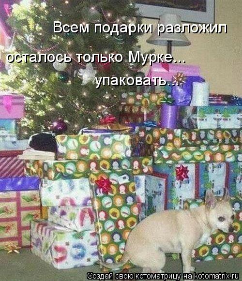 Всем подарки разложил осталось только Мурке... упаковать...... Котоматрица: Всем подарки разложил осталось только Мурке... упаковать...
