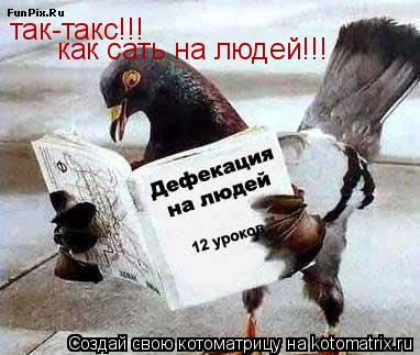 так-такс!!! как сать на людей!!!... Котоматрица: так-такс!!! как сать на людей!!!