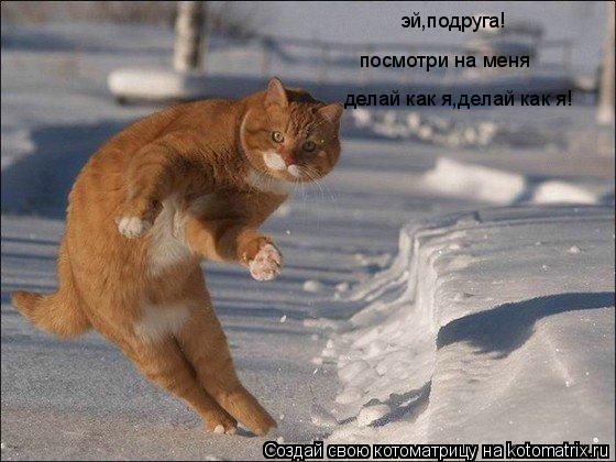 эй,подруга! посмотри на меня делай как я,делай как я!... Котоматрица: эй,подруга! посмотри на меня делай как я,делай как я!