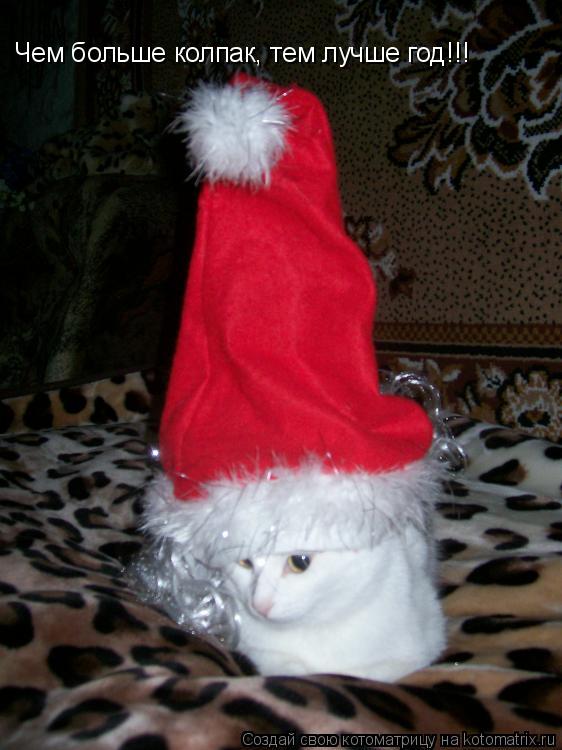 Чем больше колпак, тем лучше год!!!... Котоматрица: Чем больше колпак, тем лучше год!!!