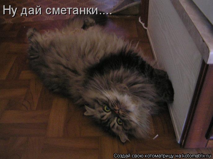 Ну дай сметанки....... Котоматрица: Ну дай сметанки....