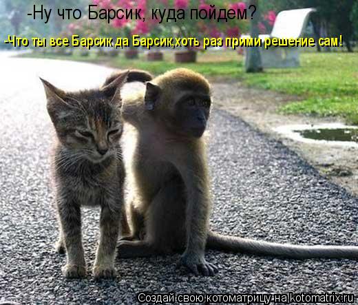 -Ну что Барсик, куда пойдем? -Что ты все Барсик да Барсик,хоть раз прими решение сам!... Котоматрица: -Ну что Барсик, куда пойдем? -Что ты все Барсик да Барсик,хоть раз прими решение сам!