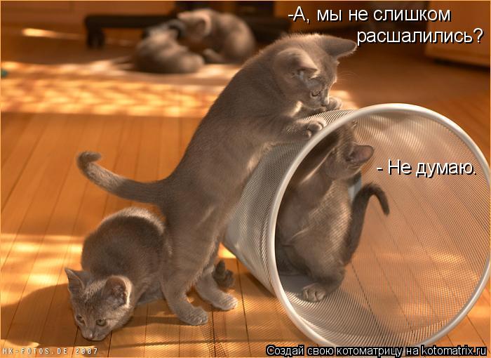 -А, мы не слишком расшалились? - Не думаю.... Котоматрица: -А, мы не слишком расшалились? - Не думаю.