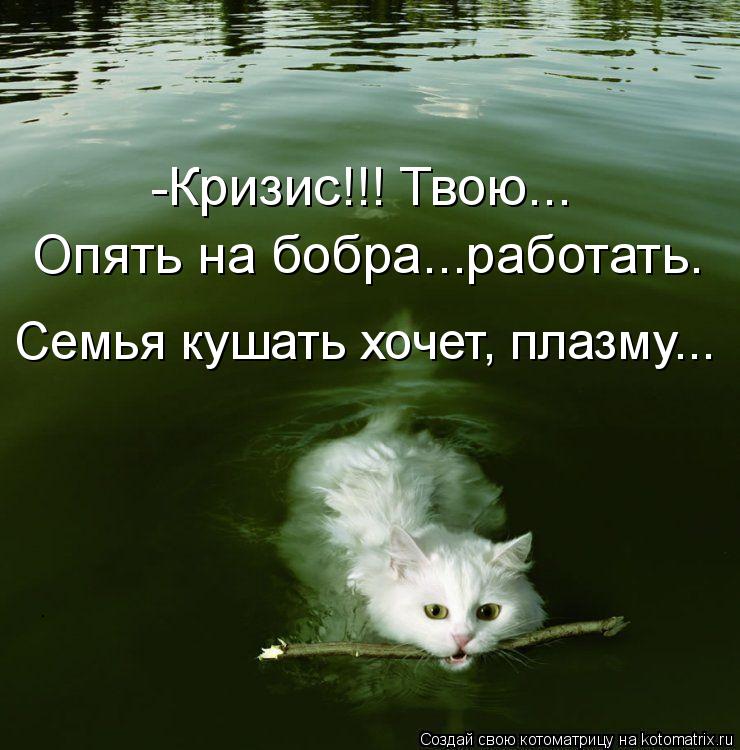 Котоматрица: -Кризис!!! Твою... Опять на бобра...работать. Семья кушать хочет, плазму...