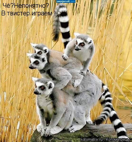 Чё?Непонятно? В твистер играем !... Котоматрица: Чё?Непонятно? В твистер играем !
