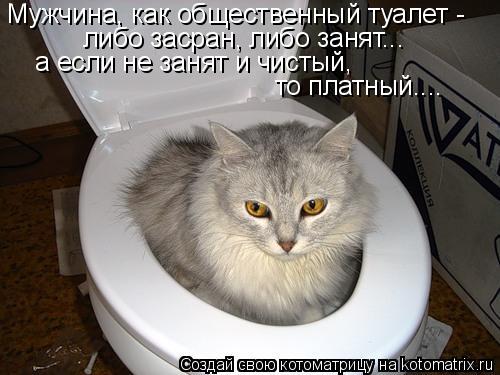 Мужчина, как общественный туалет - либо засран, либо занят... а если не занят и чистый, то платный...... Котоматрица: Мужчина, как общественный туалет - либо засран, либо занят... а если не занят и чистый, то платный....