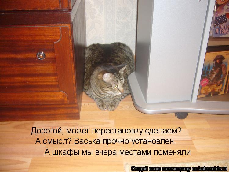 А смысл? Васька прочно установлен. А шкафы мы вчера местами поменяли Дорогой, может перестановку сде... Котоматрица: А смысл? Васька прочно установлен. А шкафы мы вчера местами поменяли Дорогой, может перестановку сделаем?