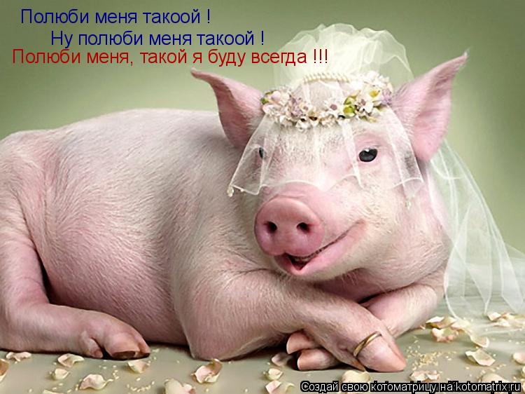 Полюби меня такоой ! Ну полюби меня такоой ! Полюби меня, такой я буду всегда !!!... Котоматрица: Полюби меня такоой ! Ну полюби меня такоой ! Полюби меня, такой я буду всегда !!!