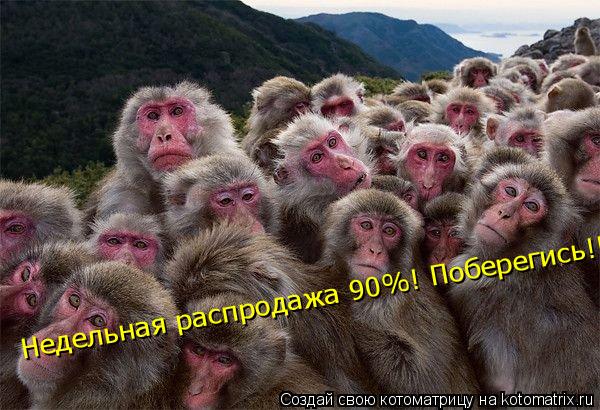 Недельная распродажа 90%! Поберегись!!!... Котоматрица: Недельная распродажа 90%! Поберегись!!!