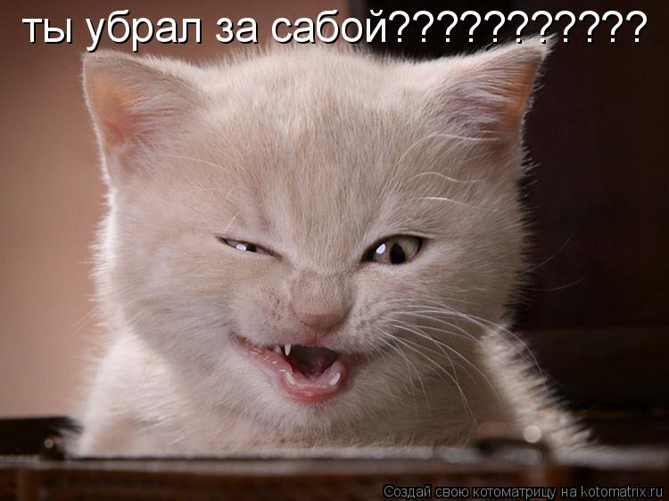 ты убрал за сабой???????????... Котоматрица: ты убрал за сабой???????????