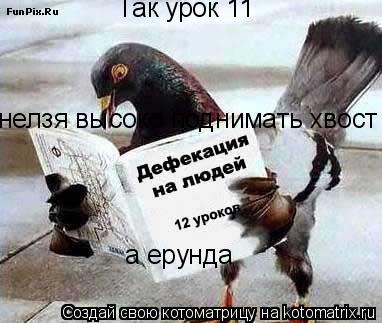 Так урок 11 нелзя высоко поднимать хвост а ерунда... Котоматрица: Так урок 11 нелзя высоко поднимать хвост а ерунда