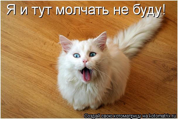 Я и тут молчать не буду!... Котоматрица: Я и тут молчать не буду!