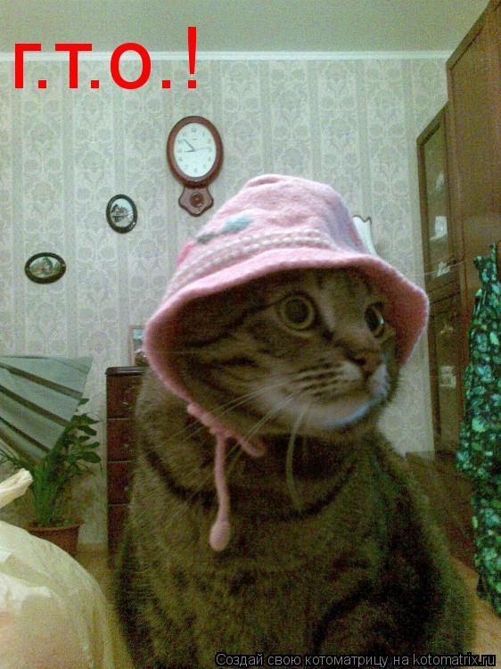 г.т.о.!... Котоматрица: г.т.о.!