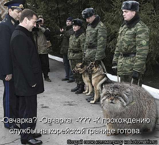 службы на корейской границе готова. -Овчарка? -Овчарка. -??? -К прохождению... Котоматрица: службы на корейской границе готова. -Овчарка? -Овчарка. -??? -К прохождению