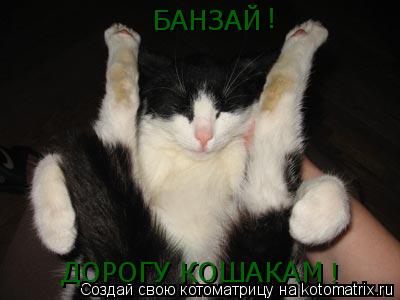 БАНЗАЙ ДОРОГУ КОШАКАМ ! !... Котоматрица: БАНЗАЙ ДОРОГУ КОШАКАМ ! !
