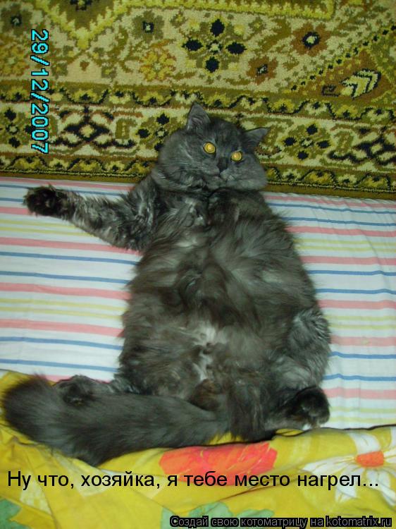 Ну что, хозяйка, я тебе место нагрел...... Котоматрица: Ну что, хозяйка, я тебе место нагрел...