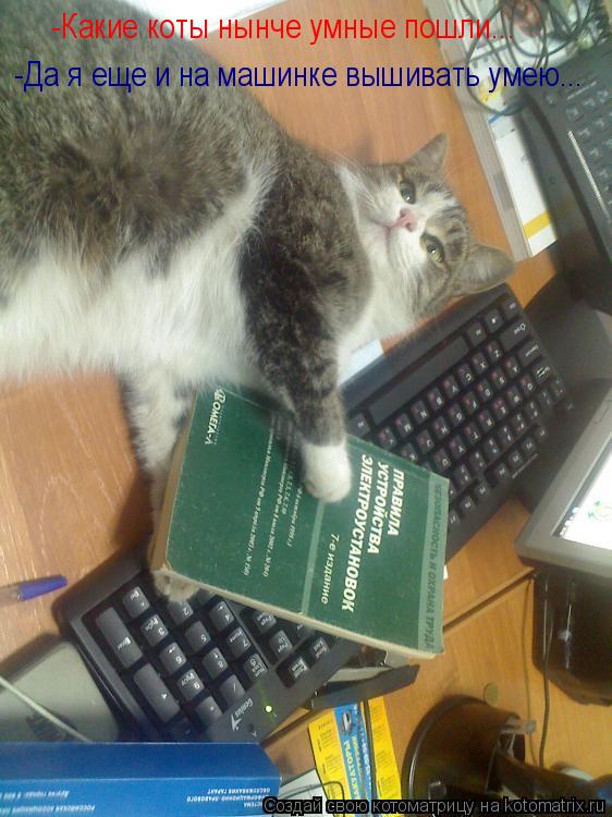 -Какие коты нынче умные пошли... -Да я еще и на машинке вышивать умею...... Котоматрица: -Какие коты нынче умные пошли... -Да я еще и на машинке вышивать умею...