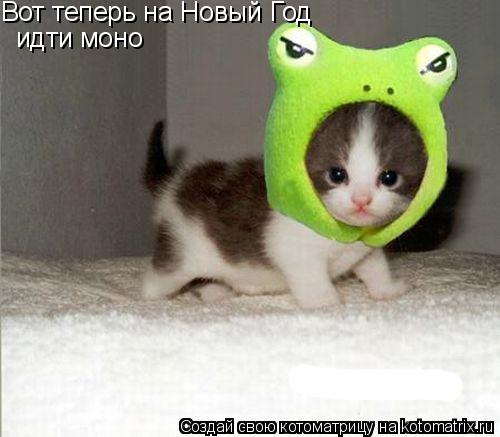 Вот теперь на Новый Год идти моно... Котоматрица: Вот теперь на Новый Год идти моно