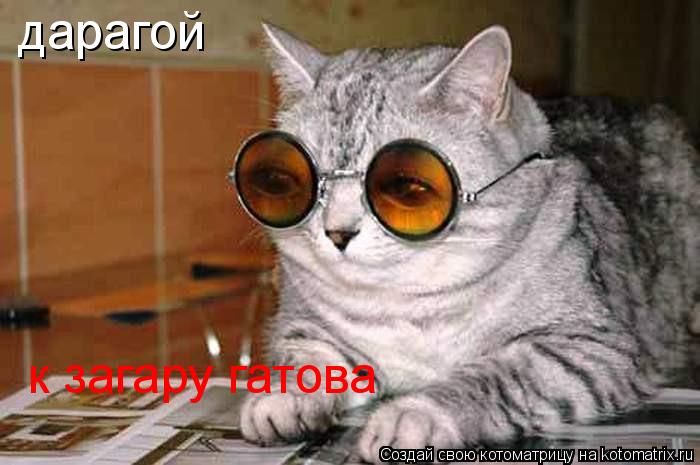 дарагой к загару гатова... Котоматрица: дарагой к загару гатова