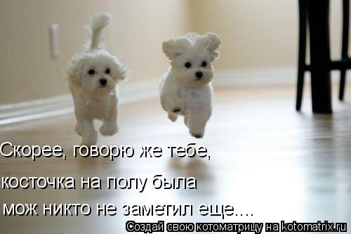 косточка на полу была Скорее, говорю же тебе, мож никто не заметил еще....... Котоматрица: косточка на полу была Скорее, говорю же тебе, мож никто не заметил еще....