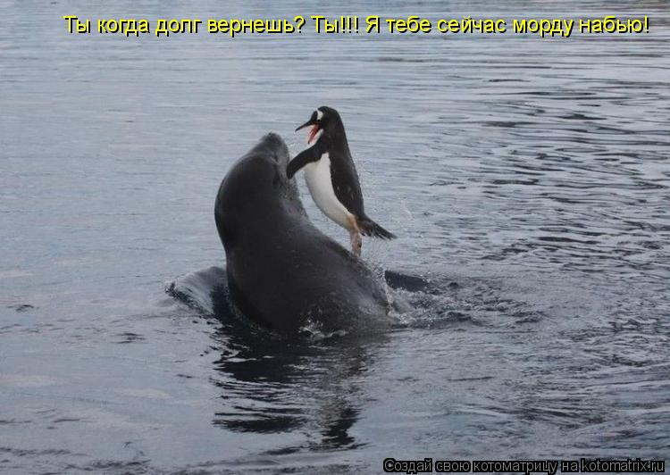 Ты когда долг вернешь? Ты!!! Я тебе сейчас морду набью!... Котоматрица: Ты когда долг вернешь? Ты!!! Я тебе сейчас морду набью!