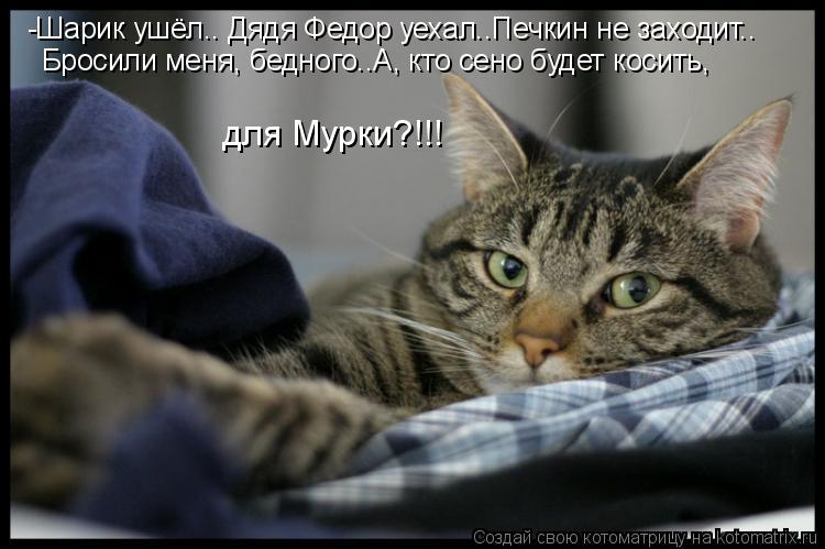 Котоматрица: -Шарик ушёл.. Дядя Федор уехал..Печкин не заходит.. Бросили меня, бедного..А, кто сено будет косить, для Мурки?!!!