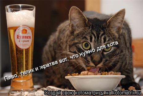 Пиво, телик и жратва вот, что нужно для кота... Котоматрица: Пиво, телик и жратва вот, что нужно для кота