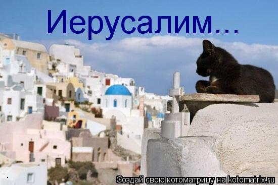 Иерусалим...... Котоматрица: Иерусалим...
