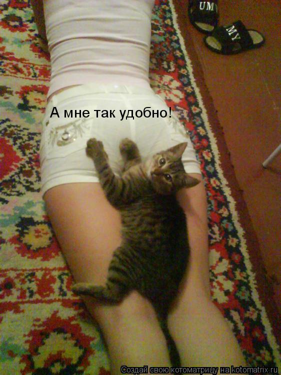 А мне так удобно!... Котоматрица: А мне так удобно!