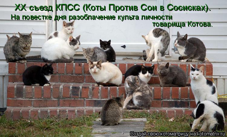 XX съезд КПСС (Коты Против Сои в Сосисках). На повестке дня разоблачение культа личности товарища Ко... Котоматрица: XX съезд КПСС (Коты Против Сои в Сосисках). На повестке дня разоблачение культа личности товарища Котова.