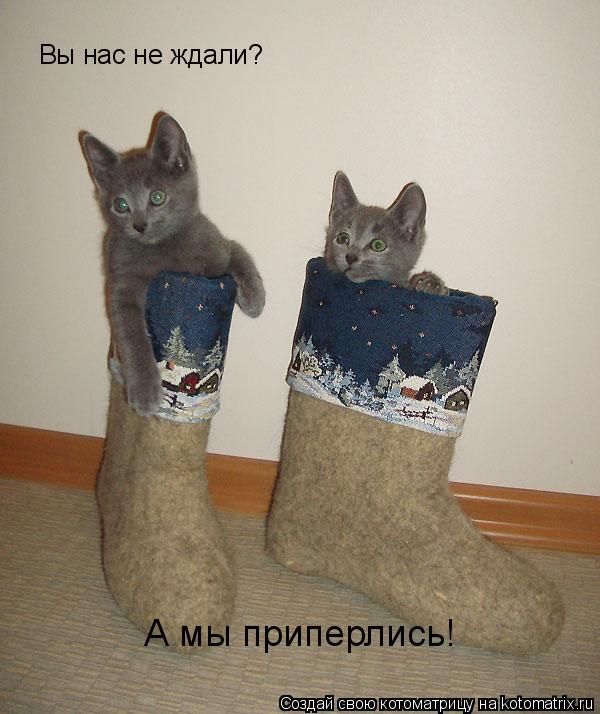 Вы нас не ждали? А мы приперлись!... Котоматрица: Вы нас не ждали? А мы приперлись!
