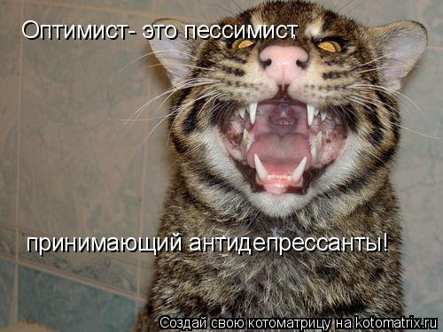 Оптимист- это пессимист , принимающий антидепрессанты!... Котоматрица: Оптимист- это пессимист , принимающий антидепрессанты!