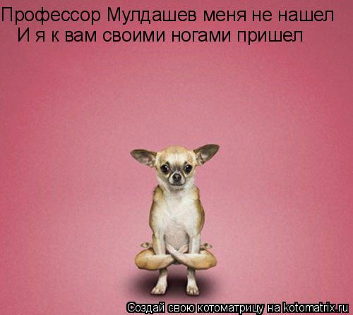 Профессор Мулдашев меня не нашел И я к вам своими ногами пришел... Котоматрица: Профессор Мулдашев меня не нашел И я к вам своими ногами пришел
