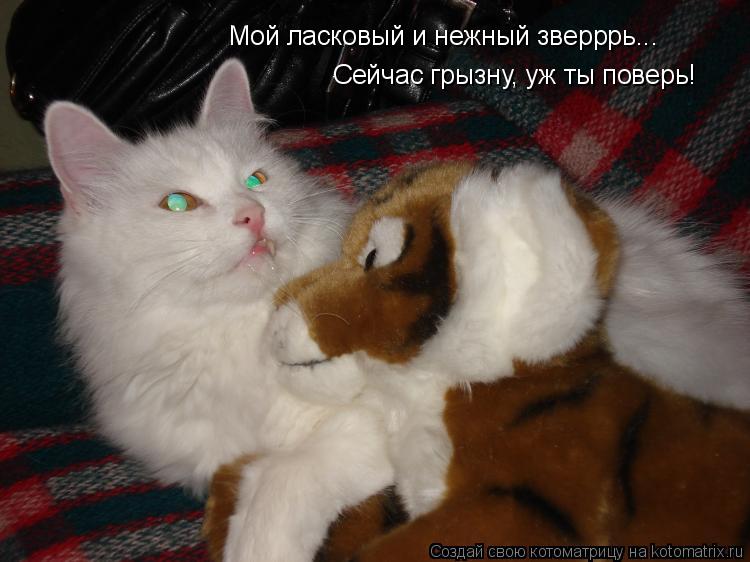 Мой ласковый и нежный зверррь... Сейчас грызну, уж ты поверь!... Котоматрица: Мой ласковый и нежный зверррь... Сейчас грызну, уж ты поверь!