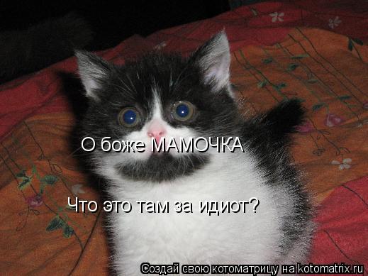 О боже МАМОЧКА О боже МАМОЧКА Что это там за идиот? Что это там за идиот?... Котоматрица: О боже МАМОЧКА О боже МАМОЧКА Что это там за идиот? Что это там за идиот?