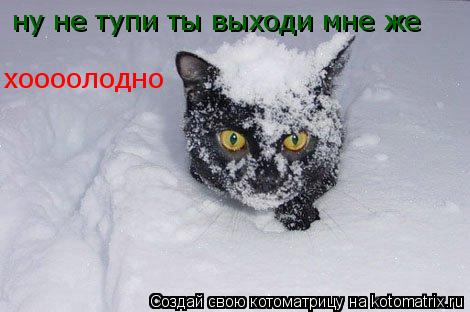ну не тупи ты выxоди мне же xоооолодно... Котоматрица: ну не тупи ты выxоди мне же xоооолодно