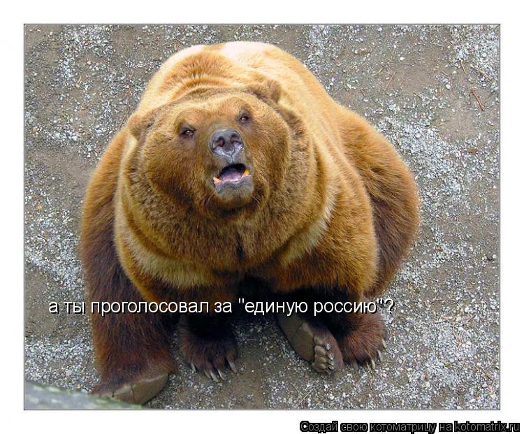 а ты проголосовал за "единую россию"?... Котоматрица: а ты проголосовал за "единую россию"?