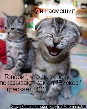 -Ну и насмешил... Говорит, что по телеку показывают как он "Вискас" трескает...)))))... Котоматрица: -Ну и насмешил... Говорит, что по телеку показывают как он "Вискас" трескает...)))))