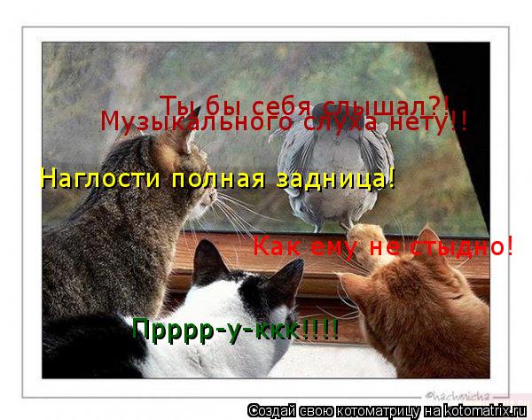 Как ему не стыдно! Наглости полная задница! Ты бы себя слышал?! Музыкального слуха нету!! Прррр-у-ккк... Котоматрица: Как ему не стыдно! Наглости полная задница! Ты бы себя слышал?! Музыкального слуха нету!! Прррр-у-ккк!!!!