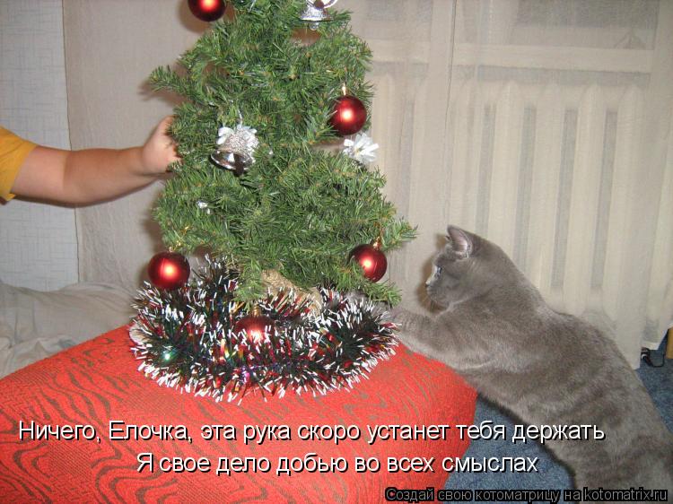 Ничего, Елочка, эта рука скоро устанет тебя держать Я свое дело добью во всех смыслах... Котоматрица: Ничего, Елочка, эта рука скоро устанет тебя держать Я свое дело добью во всех смыслах