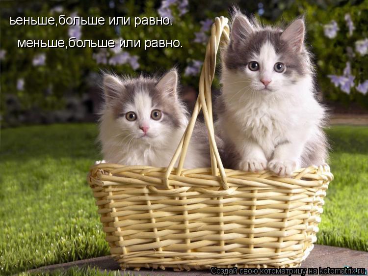 ьеньше,больше или равно. меньше,больше или равно.... Котоматрица: ьеньше,больше или равно. меньше,больше или равно.