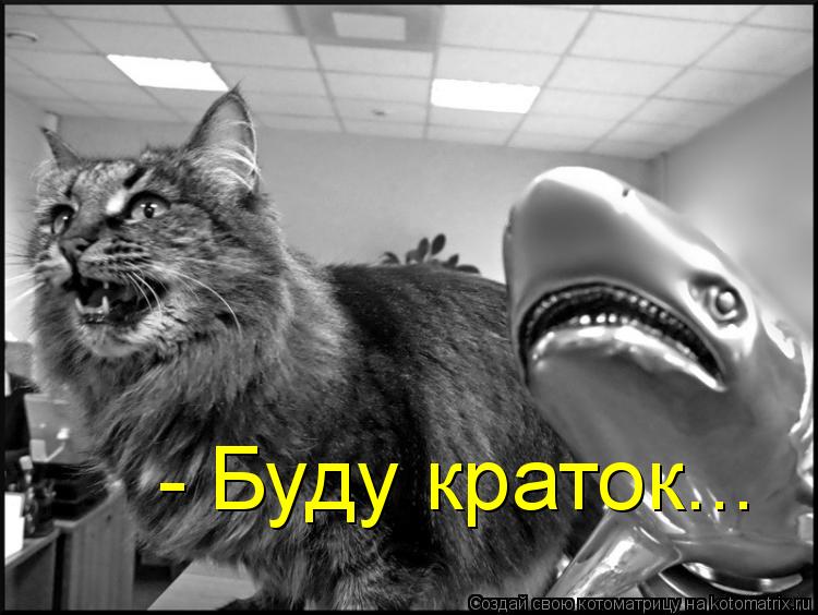 - Буду краток...... Котоматрица: - Буду краток...