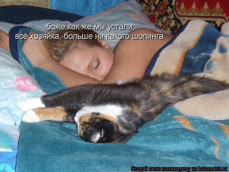 боже как же мы устали, всё хозяйка, больше ни какого шопинга... Котоматрица: боже как же мы устали, всё хозяйка, больше ни какого шопинга