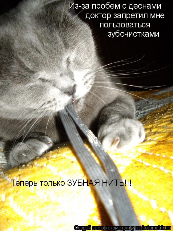 Из-за пробем с деснами доктор запретил мне пользоваться зубочистками Теперь только ЗУБНАЯ НИТЬ!!!... Котоматрица: Из-за пробем с деснами доктор запретил мне пользоваться зубочистками Теперь только ЗУБНАЯ НИТЬ!!!