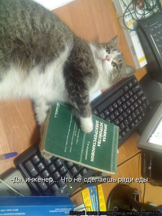 -Да, инженер... Что не сделаешь ради еды...... Котоматрица: -Да, инженер... Что не сделаешь ради еды...