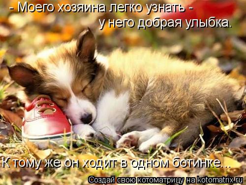 Котоматрица: - Моего хозяина легко узнать - у него добрая улыбка. К тому же он ходит в одном ботинке...