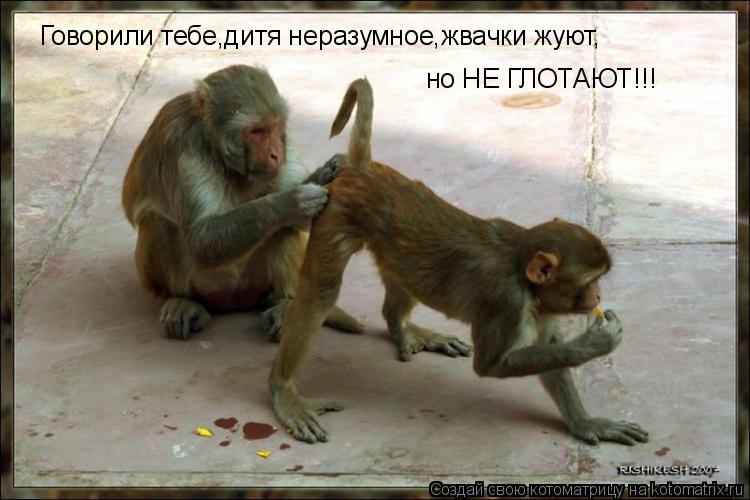 Говорили тебе,дитя неразумное,жвачки жуют, но НЕ ГЛОТАЮТ!!!... Котоматрица: Говорили тебе,дитя неразумное,жвачки жуют, но НЕ ГЛОТАЮТ!!!
