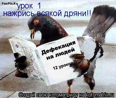 урок №1 урок №1 нажрись всякой дряни!!... Котоматрица: урок №1 урок №1 нажрись всякой дряни!!