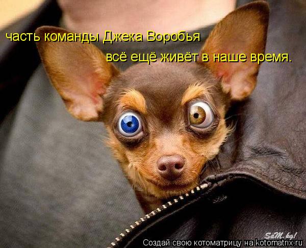 часть команды Джека Воробья всё ещё живёт в наше время.... Котоматрица: часть команды Джека Воробья всё ещё живёт в наше время.