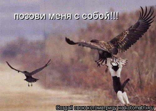 позови меня с собой!!!... Котоматрица: позови меня с собой!!!